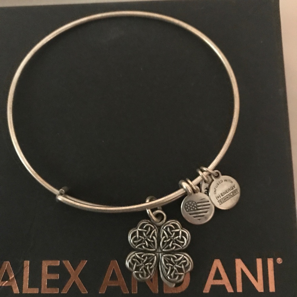 Alex and Ani Bracelet